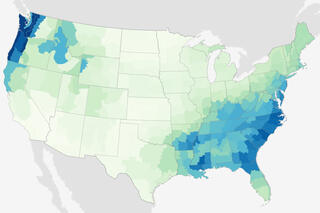 Sample image of monthly Total Precipitation 